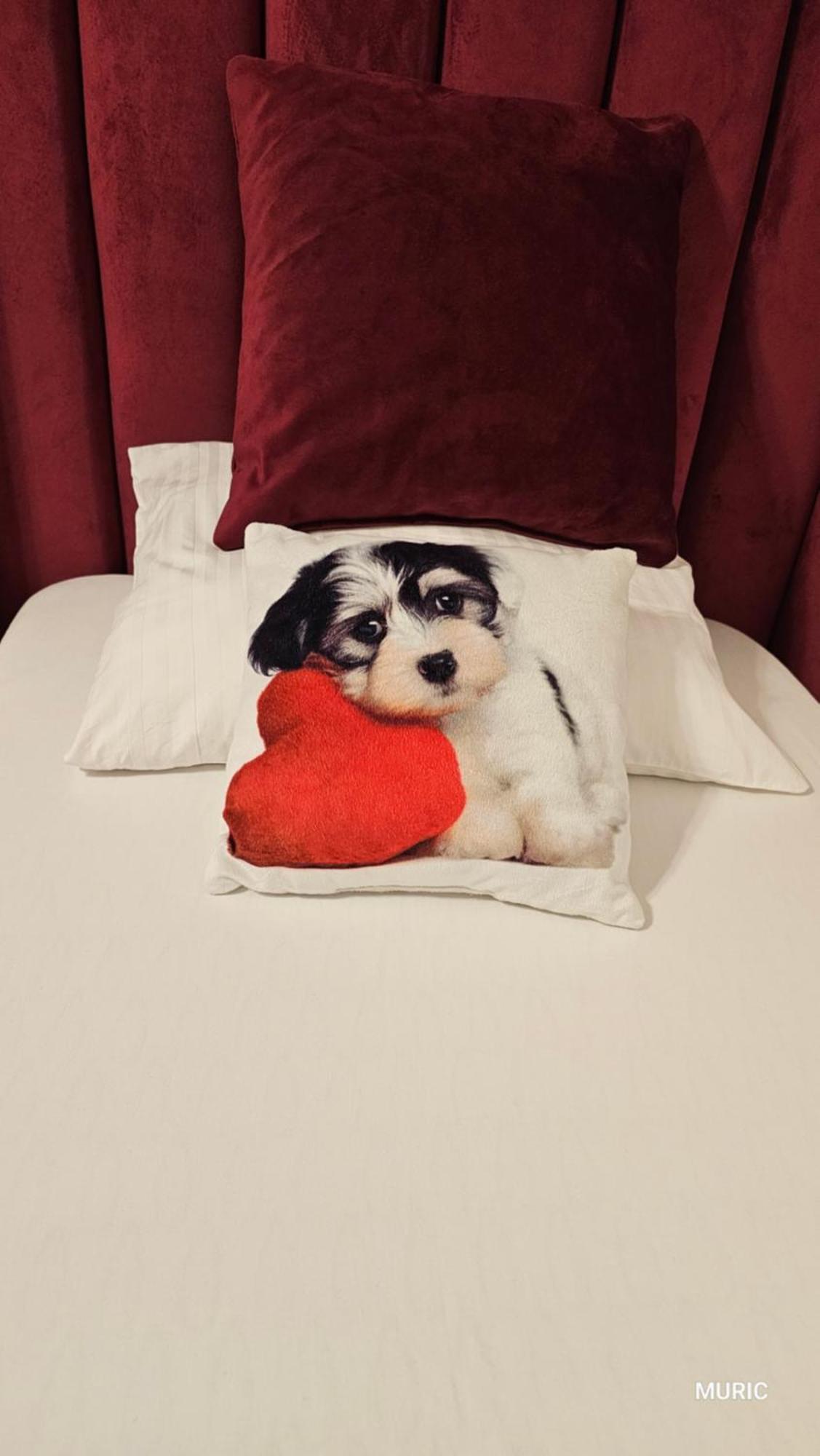 Apartmani Muric リュブリャナ エクステリア 写真